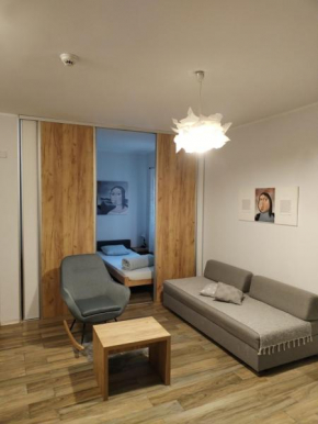 Centar Novi Sad-Apartman No 1